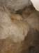 ssl28592small_small.jpg