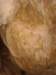 ssl28594small_small.jpg