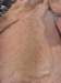 ssl21182small_small.jpg