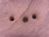 ssl21186small_small.jpg