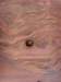 ssl21190small_small.jpg