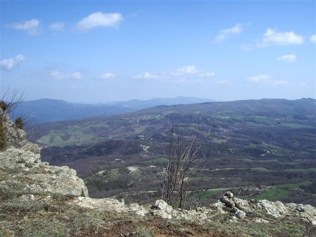 imgp9208small.jpg
