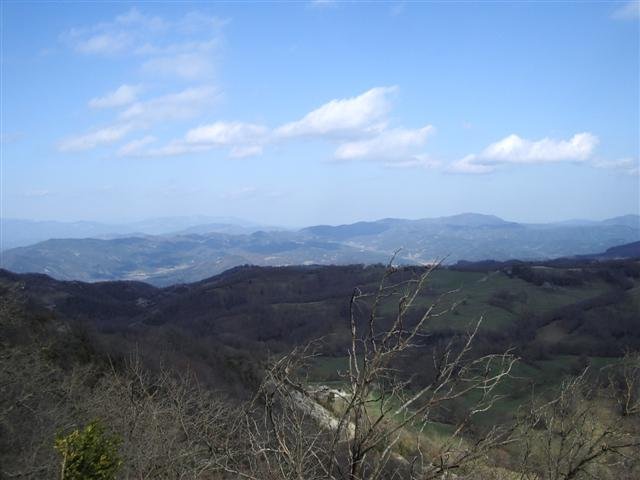 imgp9239small.jpg