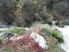 imgp9256small_small.jpg