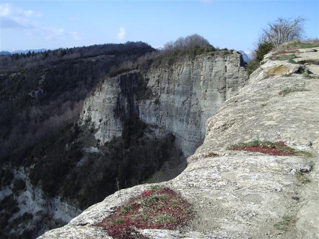 imgp9262small.jpg