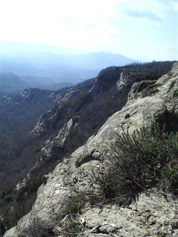imgp9275small.jpg