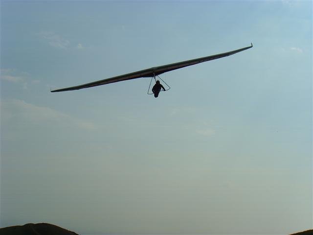 ssl23696small.jpg