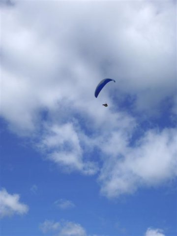 imgp4596medium.jpg