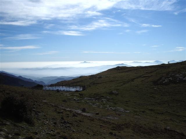 imgp6479small.jpg