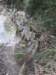 imgp7686small_small.jpg