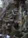 imgp7687small_small.jpg