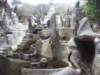 imgp7689small_small.jpg