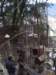 imgp7694small_small.jpg