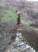 imgp7703small_small.jpg
