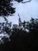imgp7705small_small.jpg