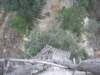 imgp7711small_small.jpg