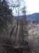 imgp7718small_small.jpg