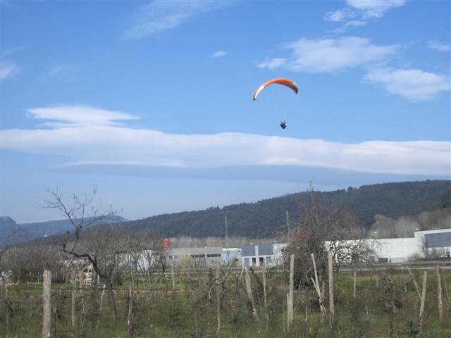 imgp8234small.jpg