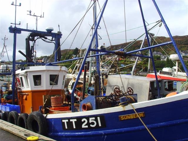 ssl21278small.jpg