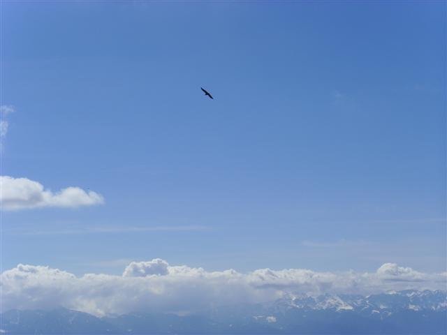 ssl28671small.jpg