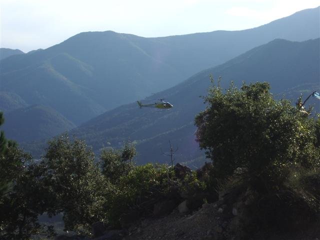 imgp5875small.jpg