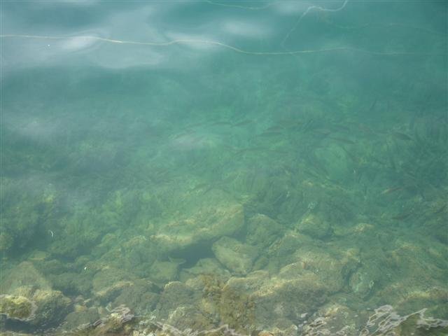 p1020559small.jpg