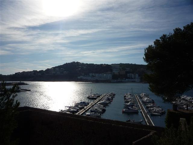 p1020569small.jpg