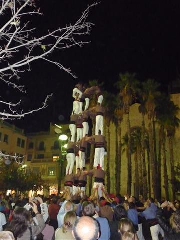 p1020607small.jpg
