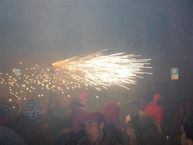p1020667small.jpg