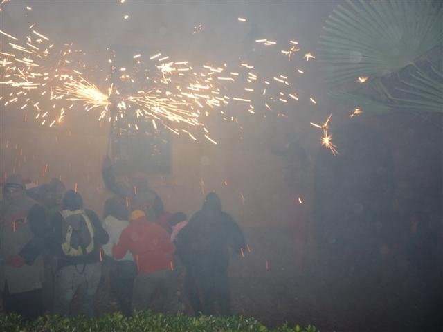 p1020675small.jpg