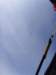 ssl28985small_small.jpg