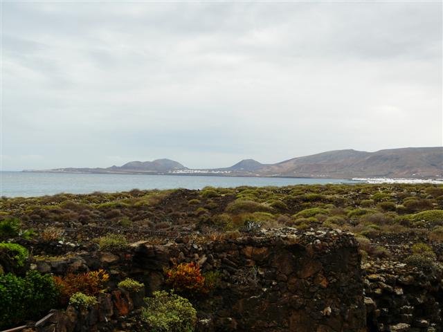 p1060862small.jpg