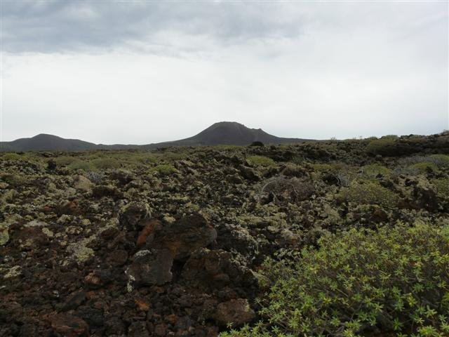 p1060943small.jpg