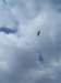 imgp5332small_small.jpg
