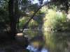imgp5378small_small.jpg