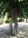 imgp5379small_small.jpg