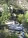 imgp5385small_small.jpg