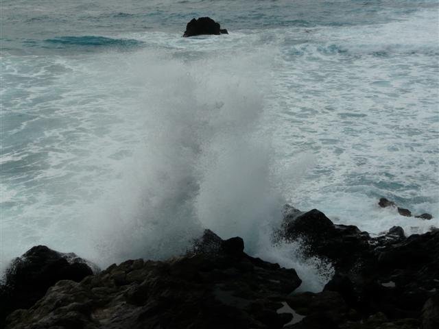 p1070047small.jpg
