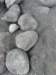 p1070052small_small.jpg
