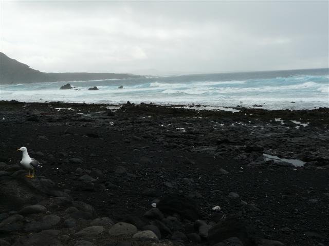 p1070056small.jpg