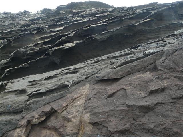 p1070088small.jpg