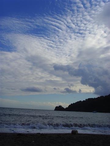 ssl24452small.jpg