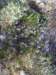 ssl24468small_small.jpg