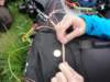 dsc01014small_small.jpg