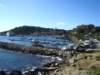 imgp6973small_small.jpg