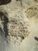 imgp6975small_small.jpg